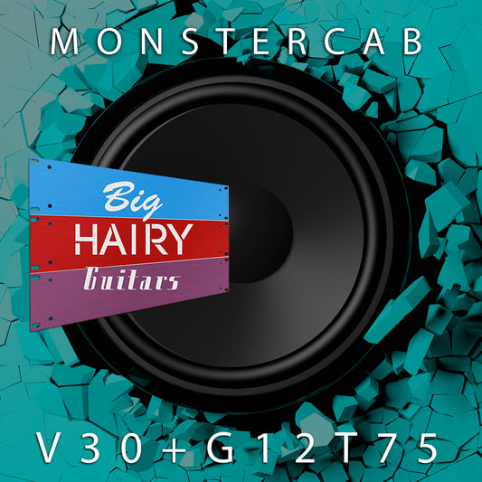 BIG HAIRY GUITARS CAB IR v3 - MONSTER CAB