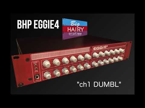 BHP EGG4 (Egnater ie4) – bhp.bighairyprofiles